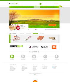 網頁與網站設計 構建數字世界的藝術與科學