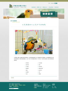 打造貼心體驗(yàn) 寵物用品網(wǎng)站的設(shè)計(jì)要點(diǎn)與趨勢(shì)